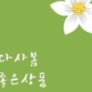 (주)알지오(RGO)