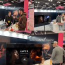 브레인아티스트 이미지