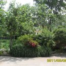 시골이야기 이미지