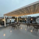 솔빈 마루 | 솔빈마루 고양이카페 방문후기