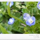 죽림 내죽도공원 이미지