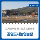 슬기 제2농장 | 대전 유성구 소식, 도시농부의 슬기로운 텃밭생활 &#39;공영도시농업농장 개장&#39;