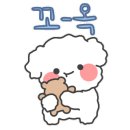 강아지부띠끄