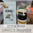 한방애푸드