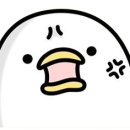 컬러에이전트 이미지