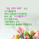 오늘 어때? 이미지