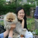 레이디폼 이미지