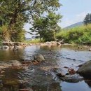 오커빌리지 이미지