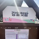 강일농장 이미지