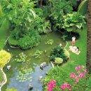 (주)아루 이미지