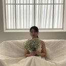 오버트플라워 이미지