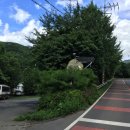 큰바위가든 이미지