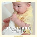 한오리 | 블랑가또 오리 애착인형 한 달 사용후기 | 7개월 아기가 매일 찾는 애착인형