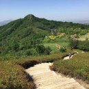 학가산우래자연휴양림 | 자연휴양림] 172곳 - 학가산우래자연휴양림, 삼척활기자연휴양림, 자굴산자연휴양림, 거창항노화힐링...