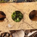 광용농장 이미지