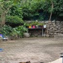 숲속의 돌담 | 속초 속 고요한 길, &#39;상도문돌담마을&#39; 산책 후기 🌿