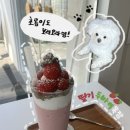 학우목장 | [치코커피] 신메뉴 '딸기 두바이 목장' 후기/ 월곡역, 동덕여대 카페 추천