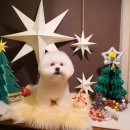 개린이미용실 이미지