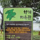 신흥 인 허브 | 청산도 여행 비 오는 날 하기 좋은 해양 치유공원 프로그램 &amp; 구들장논 &amp;목섬