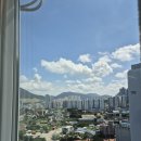 태원세탁 이미지