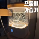 프롬비 | 유리로 된 가성비 가열식 가습기 프롬비 퓨어글래스 가습기 내돈내산 후기