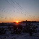 다윗농장 이미지