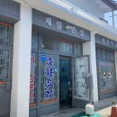 울진 애견동반여행 1박2일 코스 추천 (카페, 해변, 식당 등)