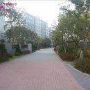 강남-260 이미지