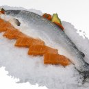 연어의맛 이미지