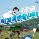 하빛율빠꿈사리 이미지