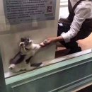 호텔마켓