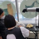 한국반려견연합학원 - 순천시 신대2길 6-55 | 한국반려견연합학원