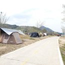 낙동강변27 이미지