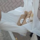 덕자네김밥
