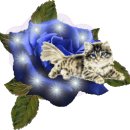 LOVELY CAT 이미지