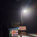 남이섬설리조트4 이미지