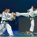 장웅태권도 이미지