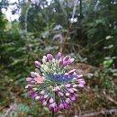 바바공인중개사사무소 이미지