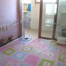 장우진동물병원 | [토끼 위정체] 우유 식욕부진 ~아크리스 동물병원 진료 후기~