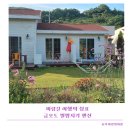 별밤지기 | 여수 금오도 숙소｜자연 속에서 하루를 쉬어간 금오도 별밤지기 펜션 후기