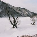 그곳에가고싶다 이미지