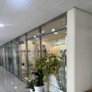 댕댕사우나 이미지