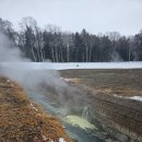 이오사슴 이미지