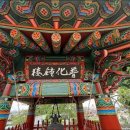 보화1로1 이미지