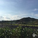 솔바우마을 이미지