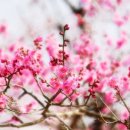 손불초등학교 이미지