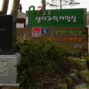 금강솔바람길 이미지