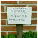 씽긋 이미지