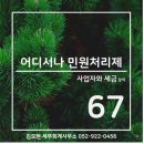 세영세무회계 이미지