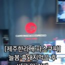 파스쿠찌제주한라대점 이미지